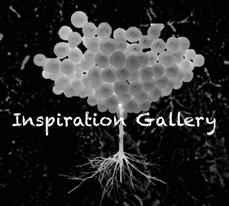 inspirationgallery